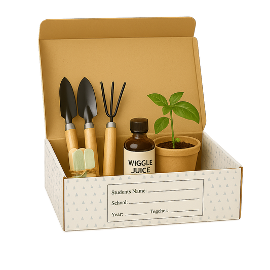 'Nearly Newts' Soul Projects for Males