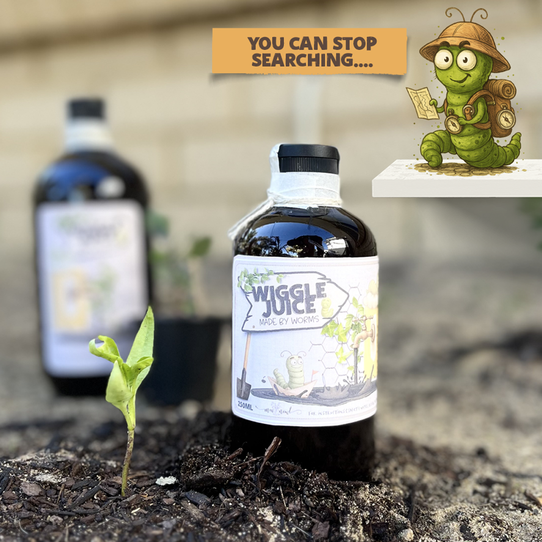 250ml 'Wiggle Juice' Concentrate