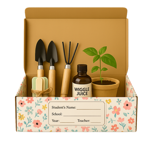 Grid & Grow Class Pack (24 Seedling Scouts)