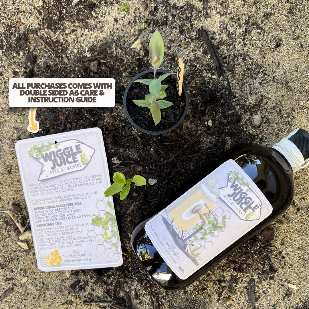 250ml 'Wiggle Juice' Concentrate