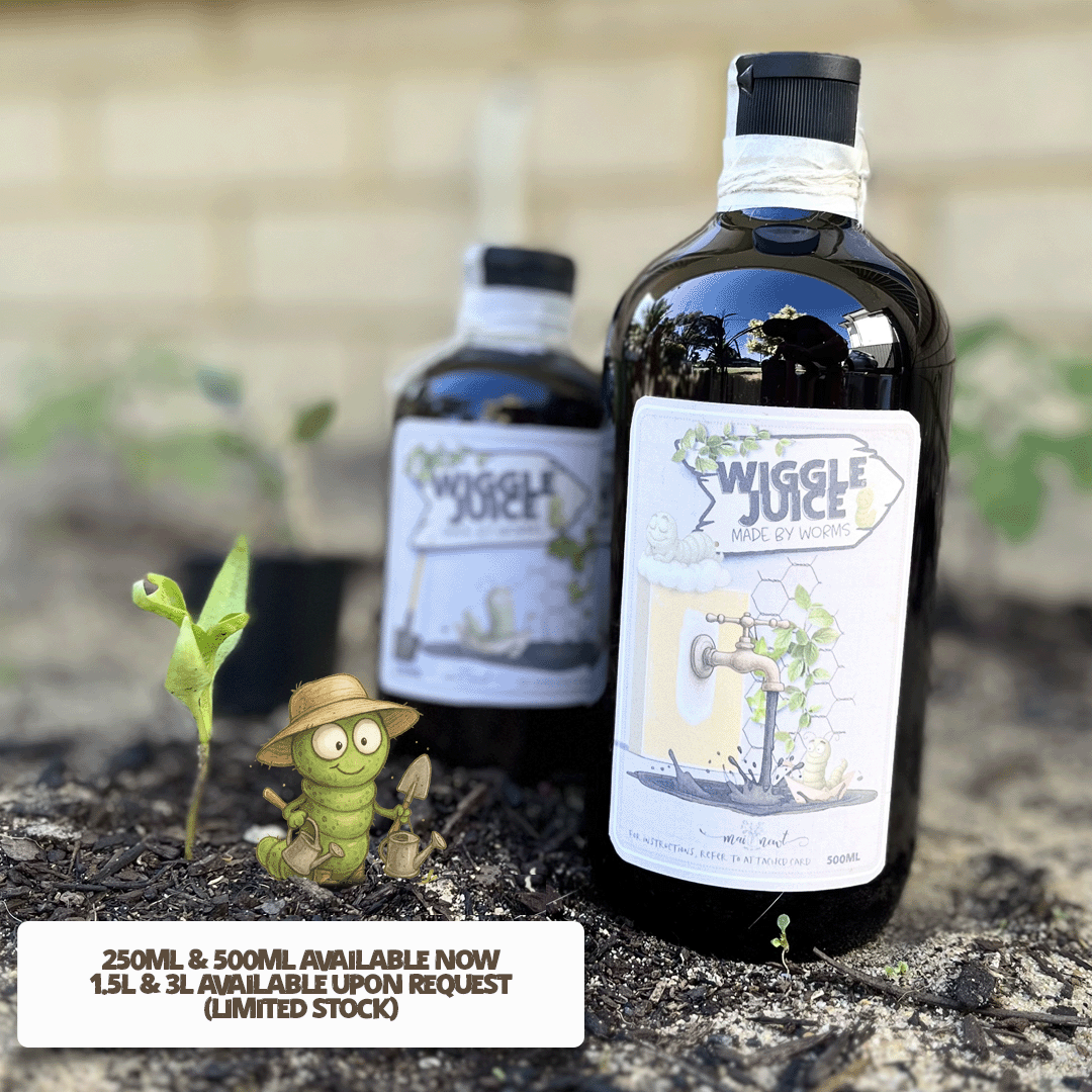 250ml 'Wiggle Juice' Concentrate