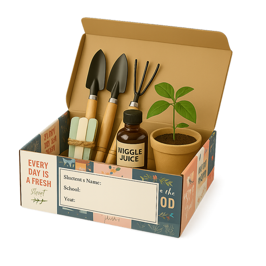 Grid & Grow Class Pack (24 Wiggleworms)